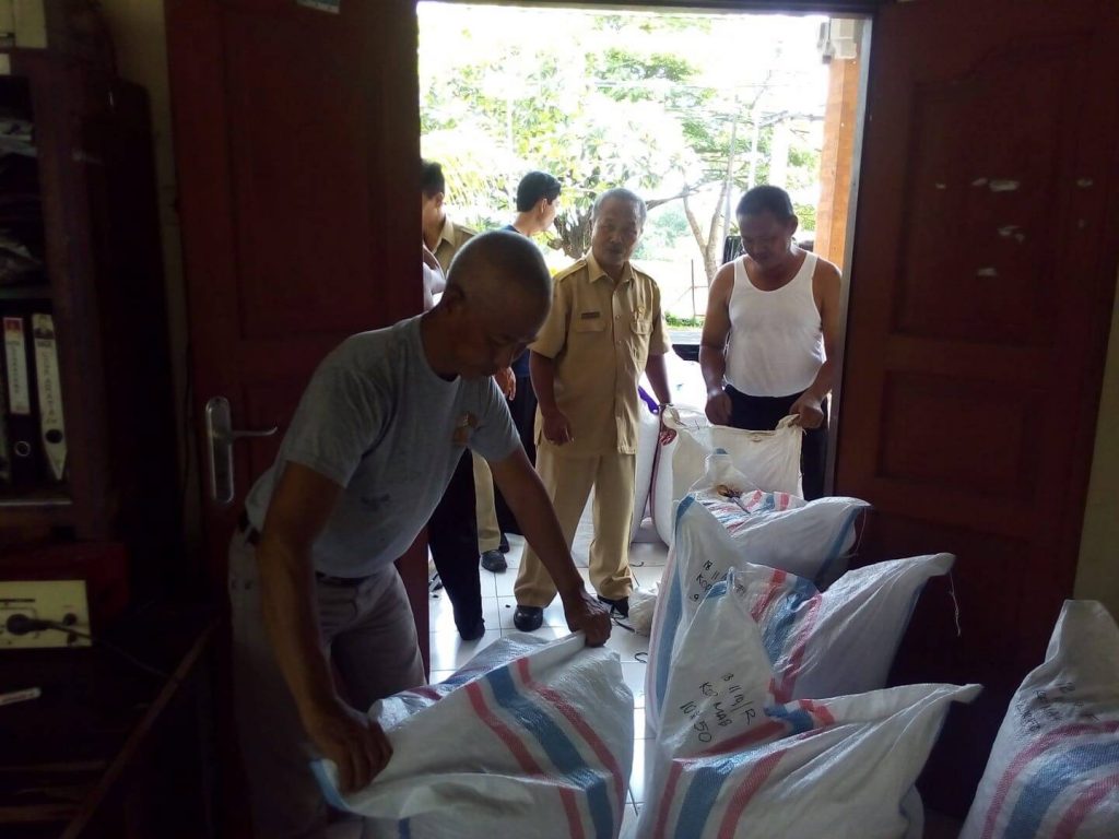 FermentasiKakaoDiTabananMenggeliatLagi