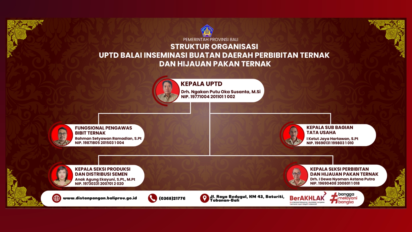 Struktur Organisasi