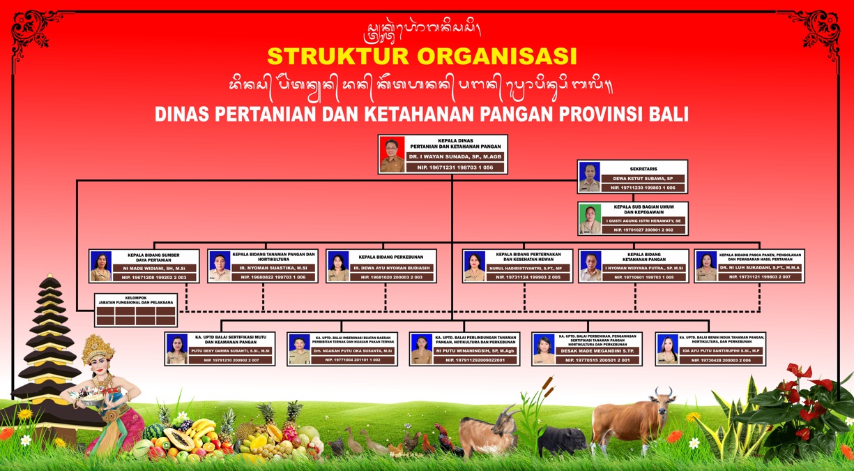 Struktur Organisasi